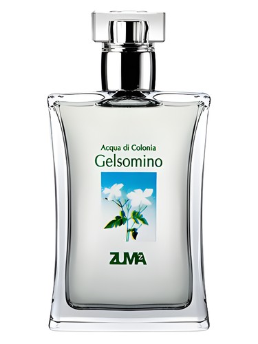 Gelsomino by Zuma