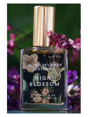 Night Blossom by Hi Wildflower Botanica