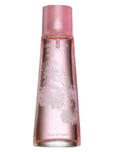 Natures Winter Flurry by Fleur de Sante