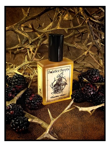 Thornwood Thicket by Solstice Scents