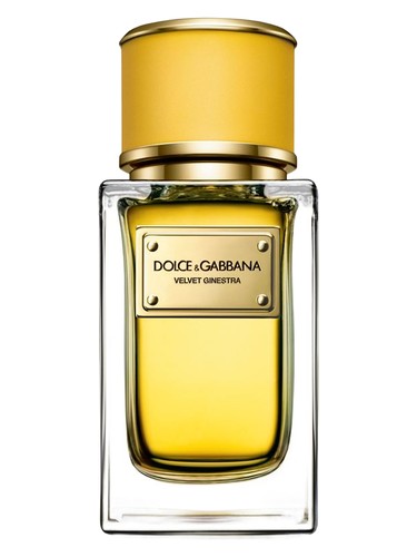 Velvet Ginestra Dolce&Gabbana perfume by Dolce Gabbana