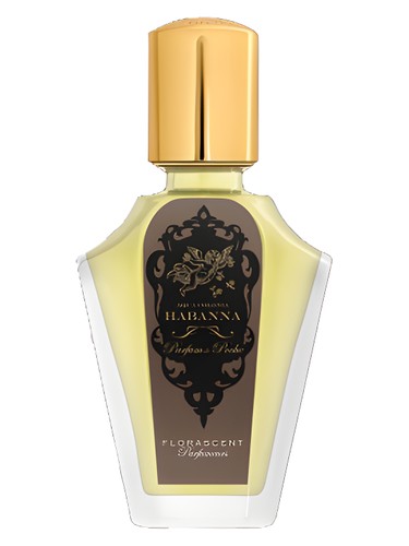 Habanna by Florascent