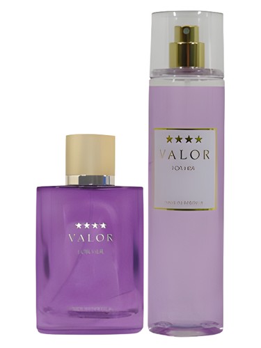 Valor for Her by Dana