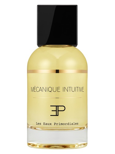 Mécanique Intuitive