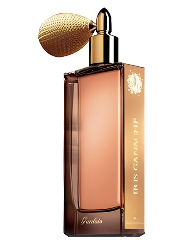 Iris Ganache by Guerlain