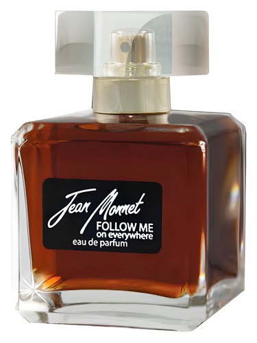 Follow Me on Everywhere by Jean Monnet