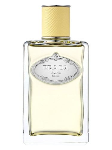 Infusion de Mimosa by Prada