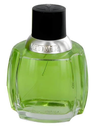 Vetiver by Dana