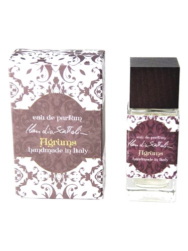 Agrums by Claudia Scattolini