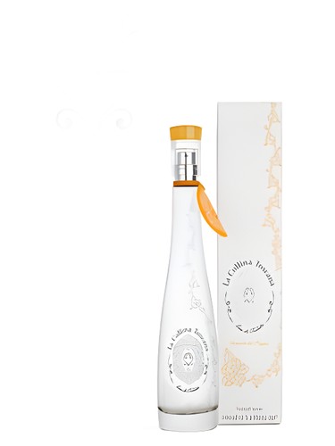 La Collina Toscana Hillock Sunflower by La Collina Toscana