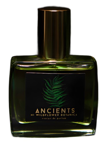Ancients by Hi Wildflower Botanica