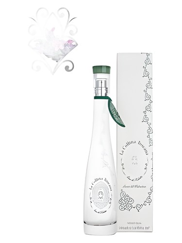 La Collina Toscana Belvedere Holm Oak by La Collina Toscana