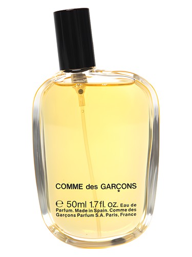 Comme des Garcons by Comme des Garcons