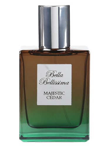 Majestic Cedar by Bella Bellissima