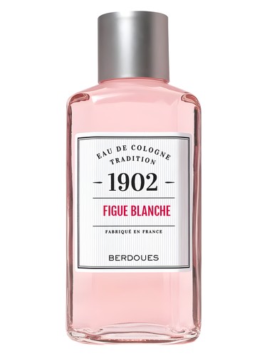 1902 Figue Blanche