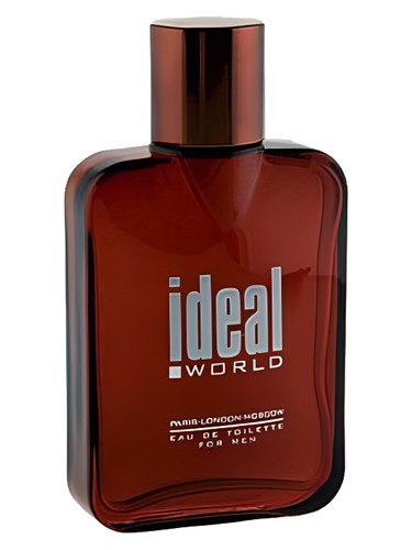 Ideal World by Judith