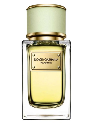 Velvet Pure Dolce&Gabbana perfume