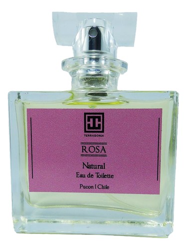Rosa by Terragonia