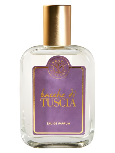 Bacche di Tuscia by Erbario Toscano