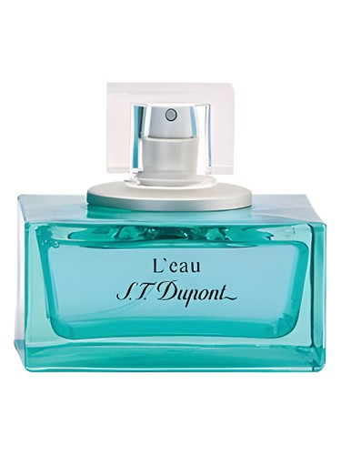 L'Eau de S.T. Dupont pour Homme S.T. Dupont cologne by S T Dupont