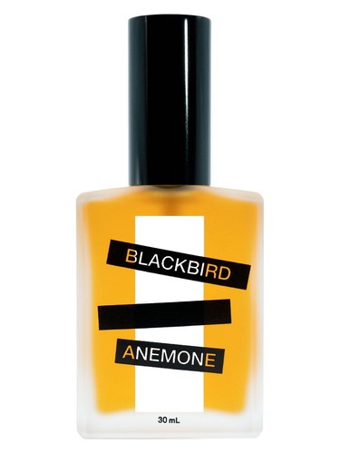 Anemone by Blackbird
