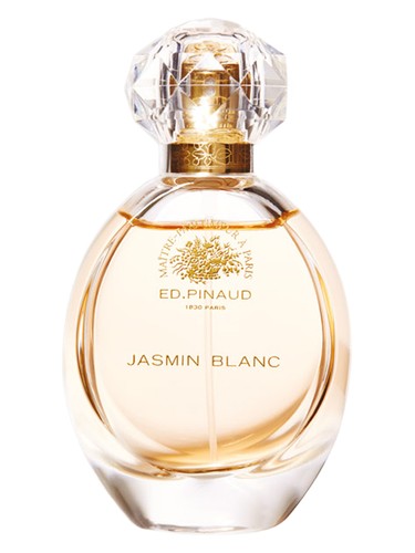 Jasmin Blanc by Ed Pinaud