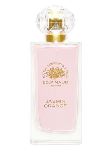 Jasmin Orangé by Ed Pinaud
