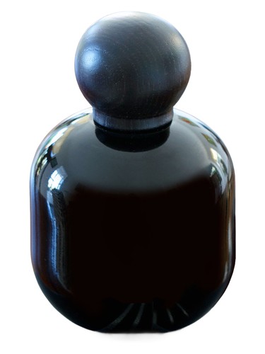 Bass Solo by The Vagabond Prince