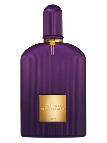 Velvet Orchid Lumière