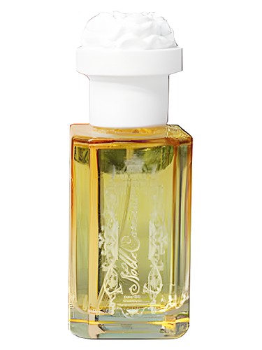 Noble Carnation by Royal Apothic