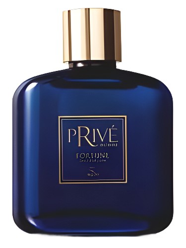 Privé Homme Fortune by Jequiti