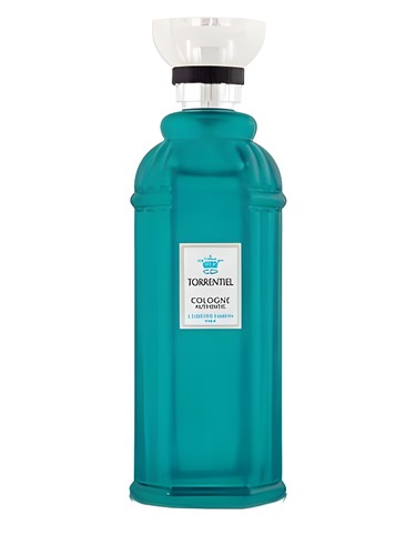 Torrentiel by Christine Darvin