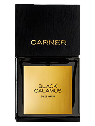 Black Calamus by Carner Barcelona