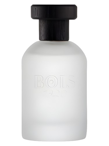 Agrumi Amari di Sicilia by Bois 1920