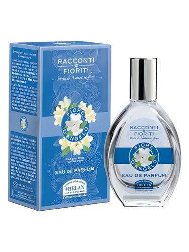 Fiore d'Angelo by Helan