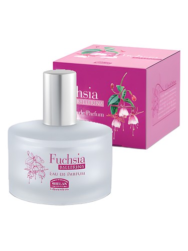 Fuchsia Ballerina by Helan