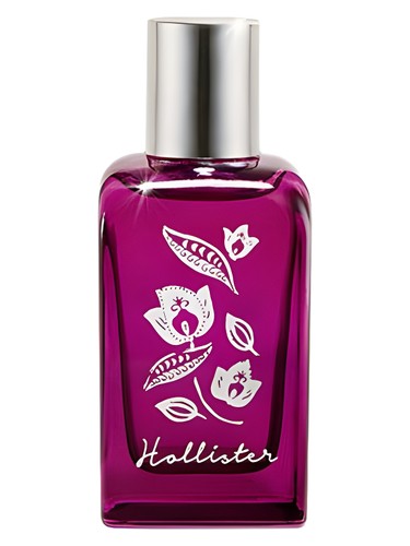 Midnight Falls by Hollister