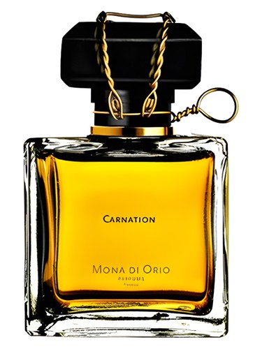 Carnation by Mona di Orio