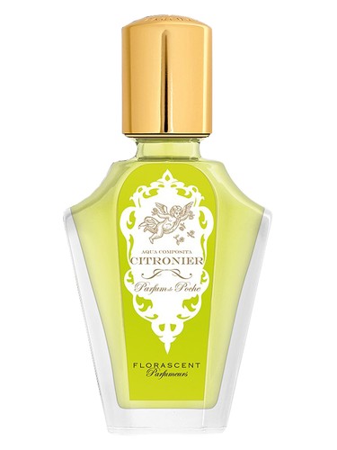 Citronnier by Florascent