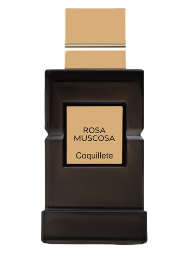 Rosa Muscosa by Coquillete