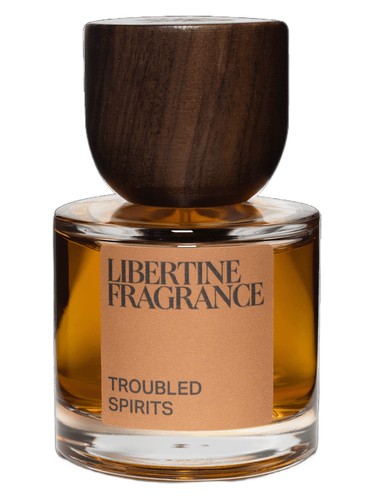 Troubled Spirits by Paraphrase