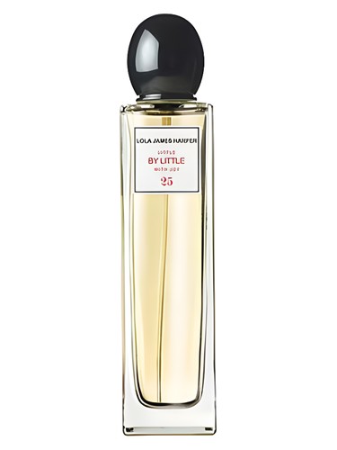 Little By Little With Joy by Lola James Harper