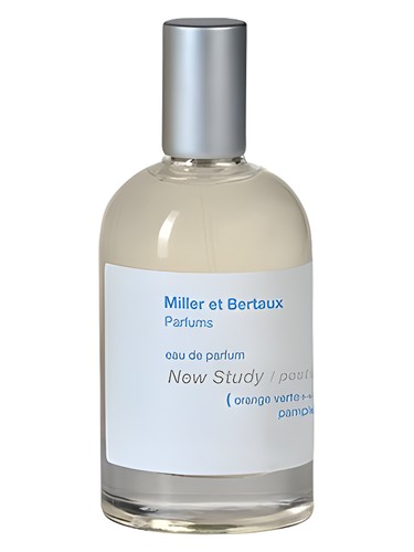 New Study (Postcard) by Miller et Bertaux