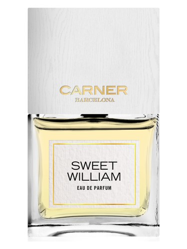 Sweet William by Carner Barcelona