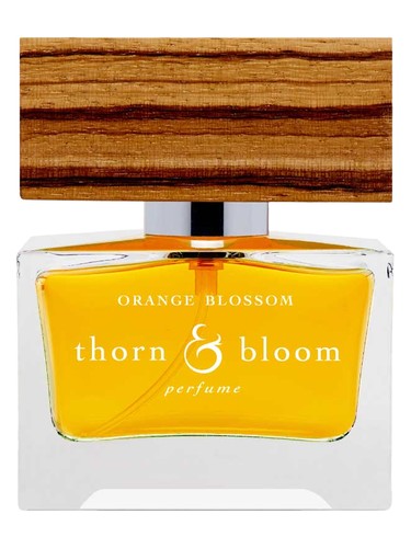 Orange Blossom Thorn & Bloom perfume by Thorn Bloom