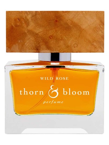 Wild Rose Thorn & Bloom perfume by Thorn Bloom