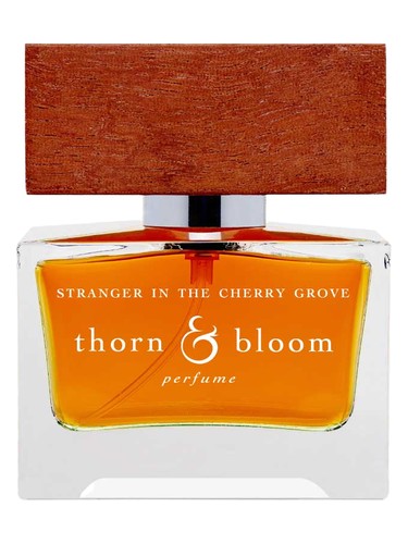 Stranger in the Cherry Grove Thorn & Bloom perfume by Thorn Bloom