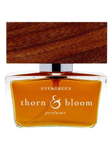 Evergreen Thorn & Bloom perfume by Thorn Bloom
