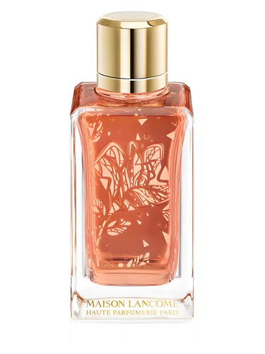 Parfait de Rôses Lancôme perfume by Lancome
