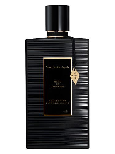 Rêve de Cashmere Van Cleef & Arpels perfume by Van Cleef Arpels